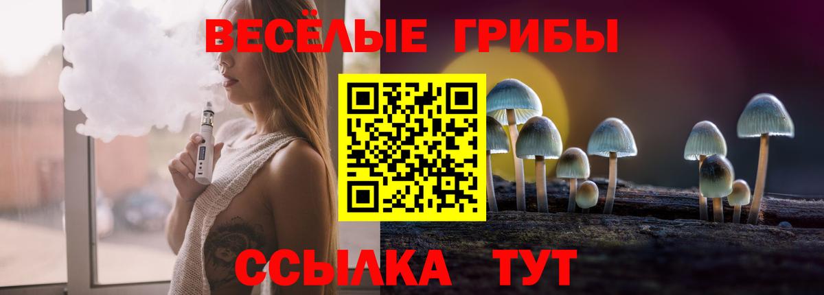 хочу   Галлюциногенные грибы мухоморы  Вход с VPN  Псилоцибиновые грибы Magic Shrooms  Коммунар 